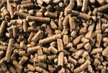 Pellets menor resolucion 2 2.jpg