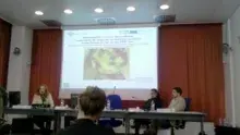 Reunion smart in med milan 20140318.jpg