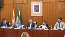 Comision parlamentaria del nuevo modelo energetico.jpg
