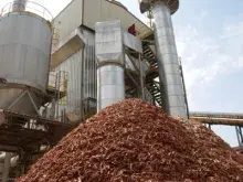 Bioeconomia foto1.jpg