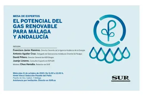 Cartel del evento