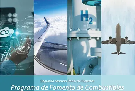 2 reunión expertos SAF