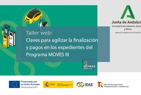 Taller web MOVES III justificación