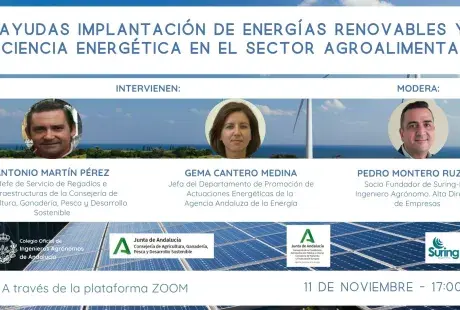 Cartela ayudas implantacion energias renovables.jpg
