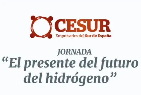 Cesur.png