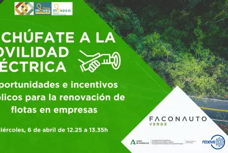Webinar enchufate a la movilidad electrica.png