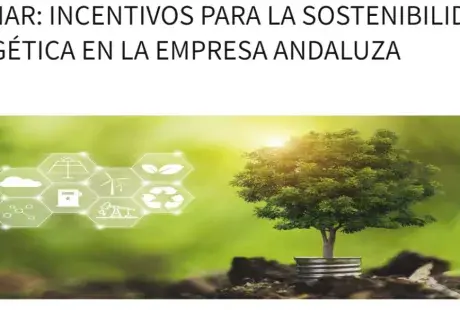 Webinarcea.png