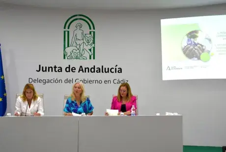 Jornada CCEE Cádiz Jornada CCEE Cádiz