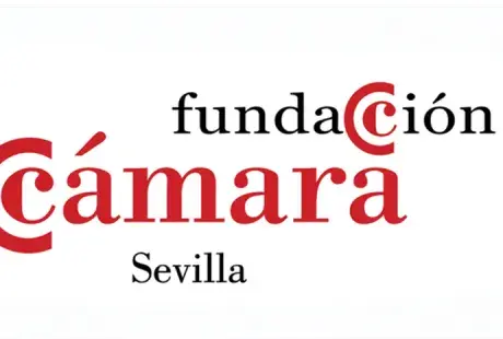 Camara sevilla 1.png