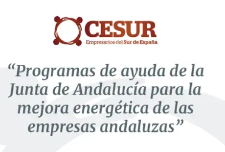 Cesur.png
