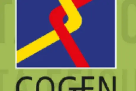 Cogen espana.png
