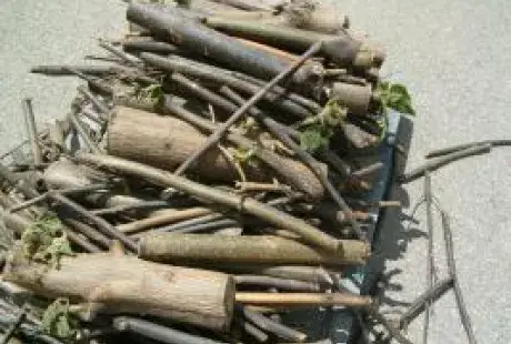 Detalle medio.jpg