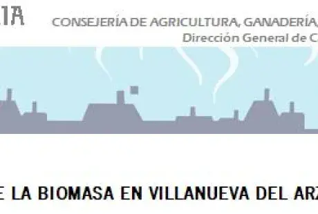 Feria biomasa.jpg