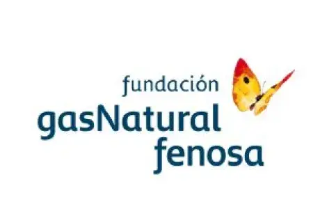 Gas natural.jpg