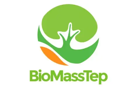 Biomasstep.jpeg