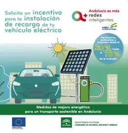 Folleto incentivos puntos de recarga aae.png