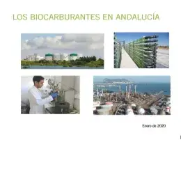 Portada biocarburantes 2020 1 0.png