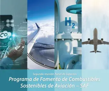 2 reunión expertos SAF 2 reunión expertos SAF