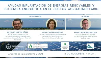Cartela ayudas implantacion energias renovables.jpg