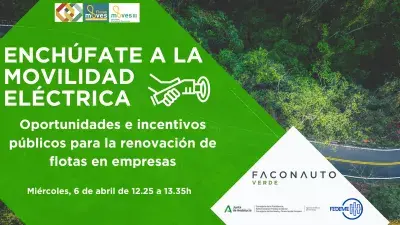 Webinar enchufate a la movilidad electrica.png