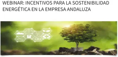 Webinarcea.png