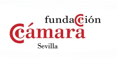 Camara sevilla 1.png
