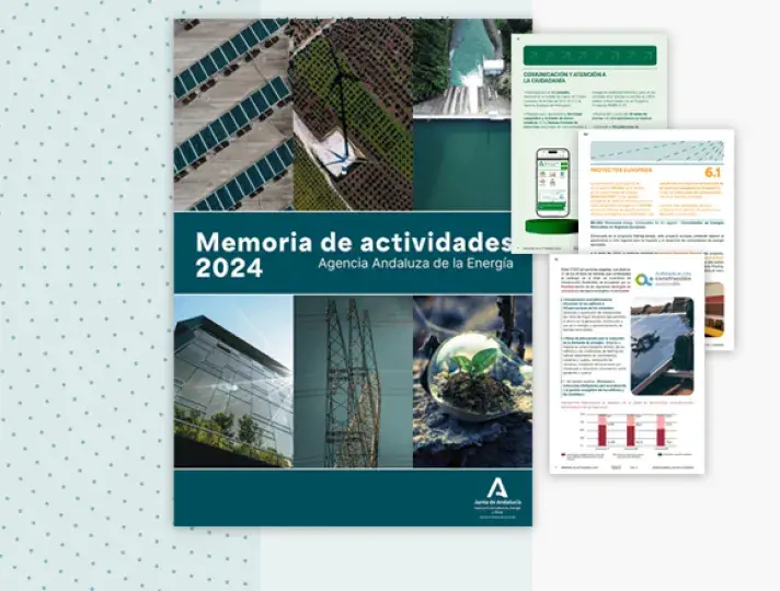 Memoria AAE 2024