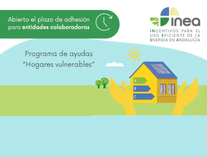 Apertura EECC INEA