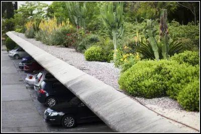 Foto de coches oficiales