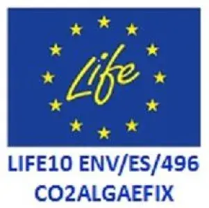 Proyecto life.jpg