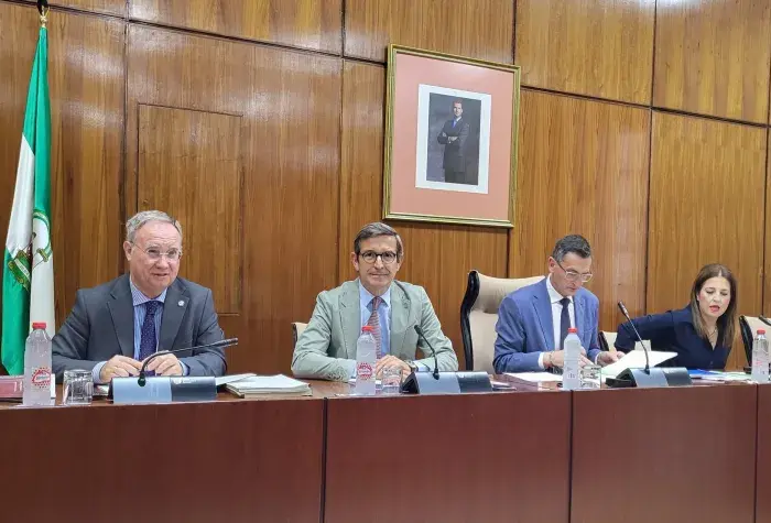 Comisión parlamentaria Ayudas AAE Comisión parlamentaria Ayudas AAE