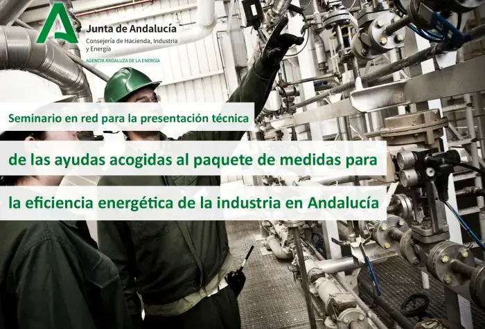 Foto%20seminario%20web.jpg