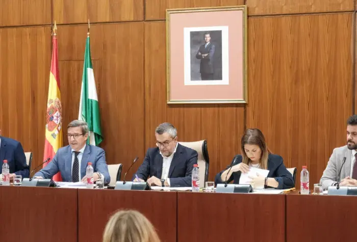 Comision parlamentaria del nuevo modelo energetico.jpg