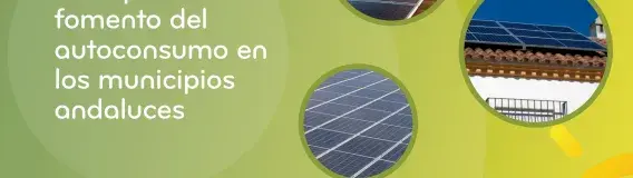 Guía de fomento del autoconsumo para ayuntamientos Guía de fomento del autoconsumo para ayuntamientos